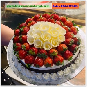 Bánh Sinh Nhật Trái Cây Tươi - U182